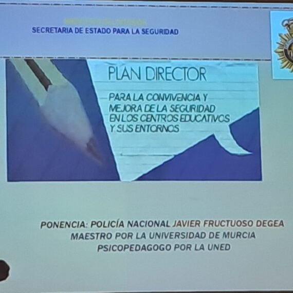 Plan Director