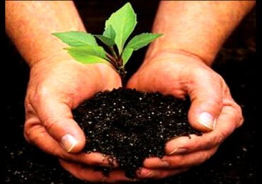 Día Mundial Medio Ambiente