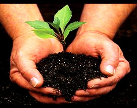 Día Mundial Medio Ambiente