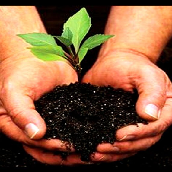 Día Mundial Medio Ambiente
