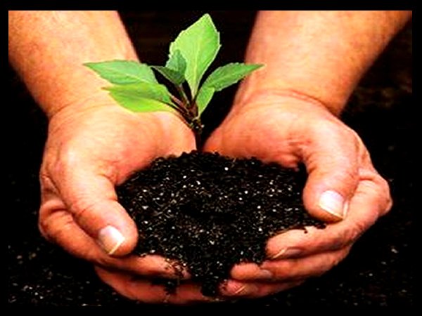 Día Mundial Medio Ambiente